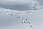 Miniatura per l'articolo intitolato:VACANZA INVERNALE FAMIGLIE